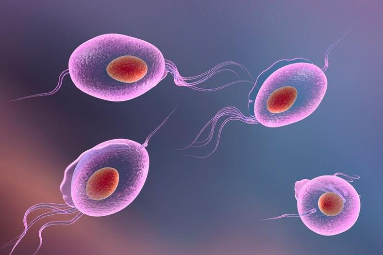 Trichomonas паразит - живее в пикочно-половата система на човека